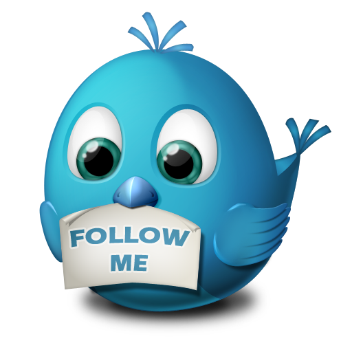 Twitter Follow Me Icon 512px png